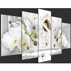 Kép - Fehér elegancia