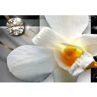 Kép - Napos orchideák