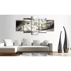 Kép -  Csillogó orchideák