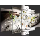 Kép -  Csillogó orchideák