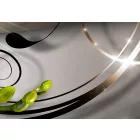 Kép -  Csillogó orchideák