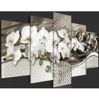 Kép - A szürke néhány árnyalata