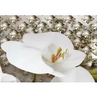 Kép - A szürke néhány árnyalata