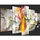 Kép - Lángoló Orchidea