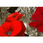 Kép - Arany mező pipacsokkal