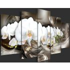 Kép - Barna varázs