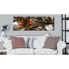 Kép - Az illúzió határa