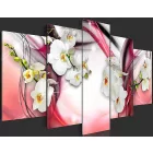 Kép - Színes csoda