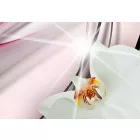 Kép - Színes csoda