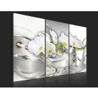 Kép - Fehér álmok 2