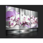 Kép - Zenélő Orchideák