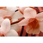 Kép - Piros örvény