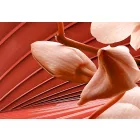 Kép - Piros örvény