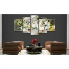 Kép - Bimbózó Orchidea