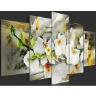 Kép - Bimbózó Orchidea