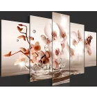 Kép - Csobbanó virág