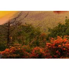 Kép - Végtelenség
