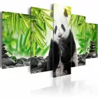 Kép - Panda