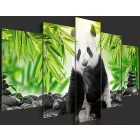 Kép - Panda