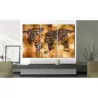 Kép - Arany óceánok