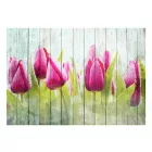 Fotótapéta - Tulipánok fával ötvözve