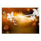 Fotótapéta - Fénytörés