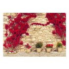 Fotótapéta - Olasz nyár