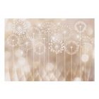 Fotótapéta - Fénylő Pitypangok