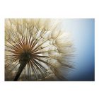 Fotótapéta - Napsütésben