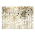 Fotótapéta - Fekete madarak