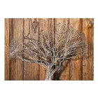 Fotótapéta - Faágak