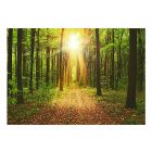 Fotótapéta - Erdei ösvény
