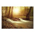 Fotótapéta - Napsütés az erdőben