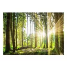 Fotótapéta - Szikrázó napsütésben