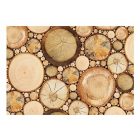 Fotótapéta - Magányos törzsek