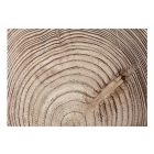 Fotótapéta - Évgyűrűk