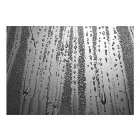 Fotótapéta - Pára cseppek