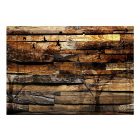 Fa mintás tapéta - Emlékező természet