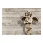 Fotótapéta - Angyali arc