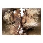 Fotótapéta - Rejtett szerelem