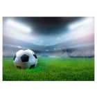 Fotótapéta - Világbajnokság