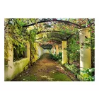 Fotótapéta - A pergola alatt
