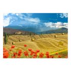 Fotótapéta - Elbűvölő messzeség