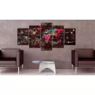 Kép - Szivárvány világ 23