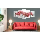 Kép - Orchidea kert 3