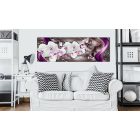 Kép - Csillagtánc 1