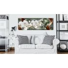 Kép - Csillagtánc 2