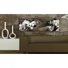 Kép - Csokoládé Orchidea 2