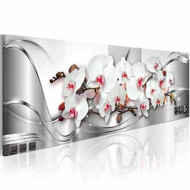 Kép - Rendezett Orchideák 1