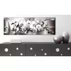 Kép - Rendezett Orchideák 2